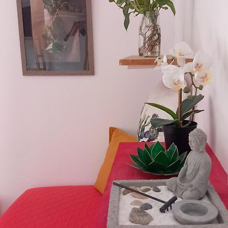 Apartamento A Casa Di Sara Castel San Pietro Terme Exterior foto